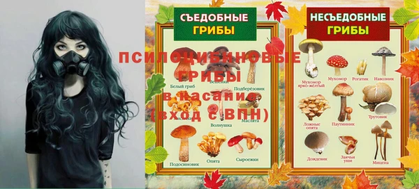 спиды Алзамай