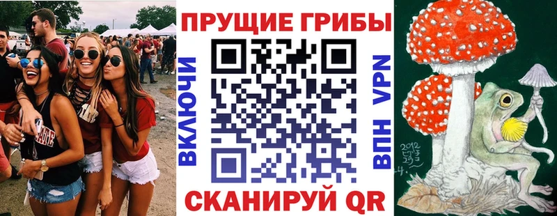 Псилоцибиновые грибы прущие грибы  даркнет сайт  Анадырь 
